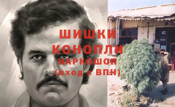 a pvp Белокуриха