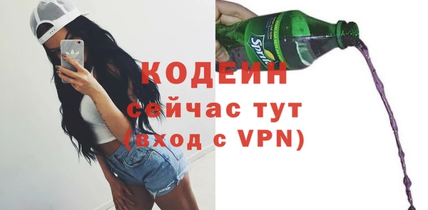 дмт Богданович